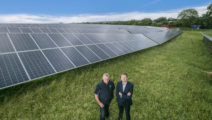 The 5MW solar farm is co-located with Dale Farm’s Dunmanbridge cheese facility. Photo: Brian Morrison